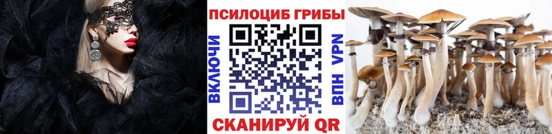 гидра tor  Ува  Галлюциногенные грибы ЛСД 